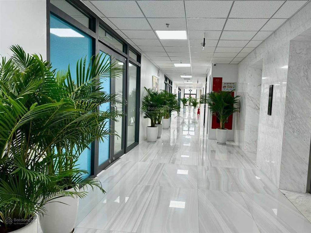 Tòa nhà văn phòng sd building dt đa dạng từ 10  930m2, đầy đủ trang thiết bị, nội thất, tiện nghi
