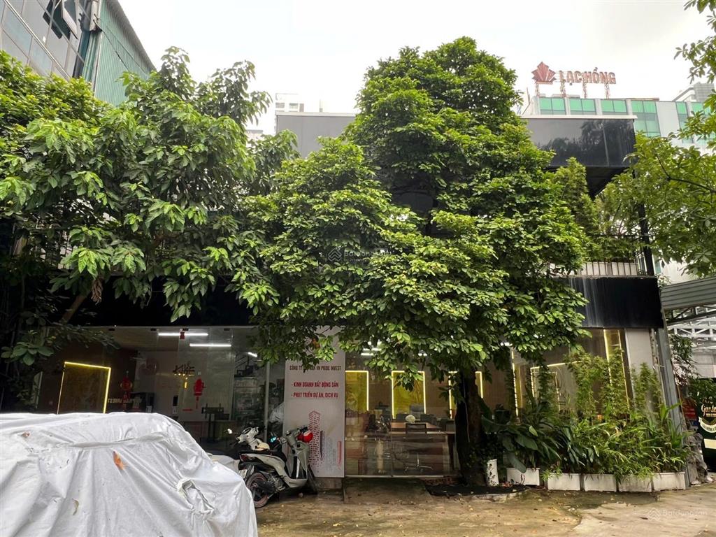 Hiếm có văn phòng 31a lê văn lương, không giới hạn chỗ đỗ xe miễn phí, không phụ phí làm ngoài giờ