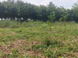 Ncb giảm giá bán bất động sản tại phường chánh phú hòa, thị xã bến cát, bình dương (nay là hcm)