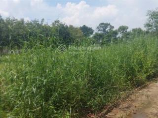 Ncb giảm giá bán bất động sản tại phường chánh phú hòa, thị xã bến cát, bình dương (nay là hcm)