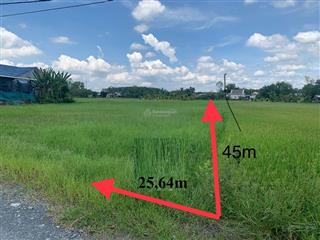 Ncb thanh lý bđs tại xã trung lập thượng, củ chi, tp. hồ chí minh