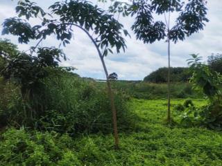 Hot ncb giảm giá bán bđs tại xã trừ văn thố, tỉnh bình dương (hcm mới)