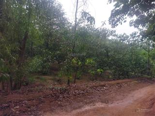 Hot, ncb thanh lý bất động sản tại xã an viễn, tỉnh đồng nai