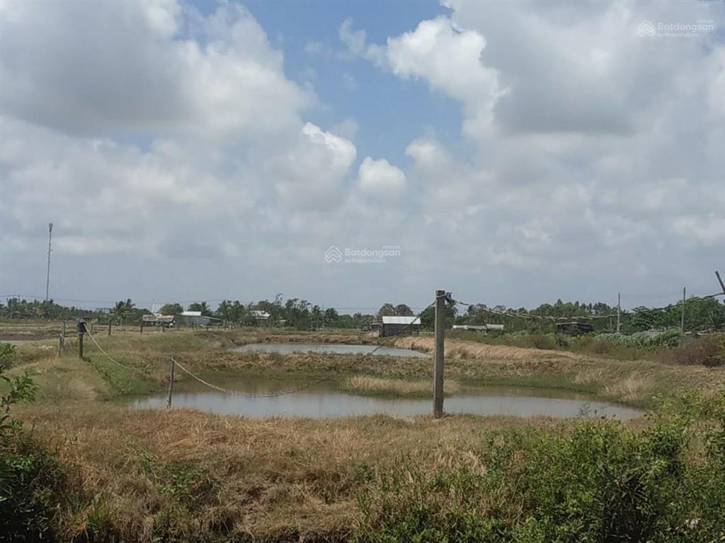 Hot! ncb thanh lý bđs tại xã hiệp mỹ, tỉnh vĩnh long (tỉnh long an cũ)