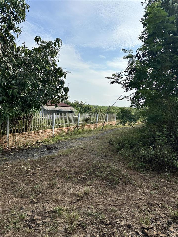 Bđs tại xã xuân trường, huyện xuân lộc, đồng nai