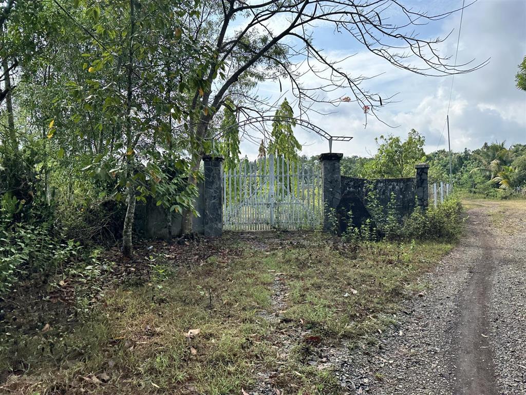 Bđs tại xã xuân trường, huyện xuân lộc, đồng nai