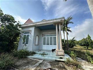 Bđs tại xã xuân trường, huyện xuân lộc, đồng nai