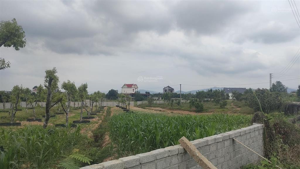 Bán đất hòa lạc 367m², 3,6 tỷ sổ đỏ chính chủ. mặt tiền 8m