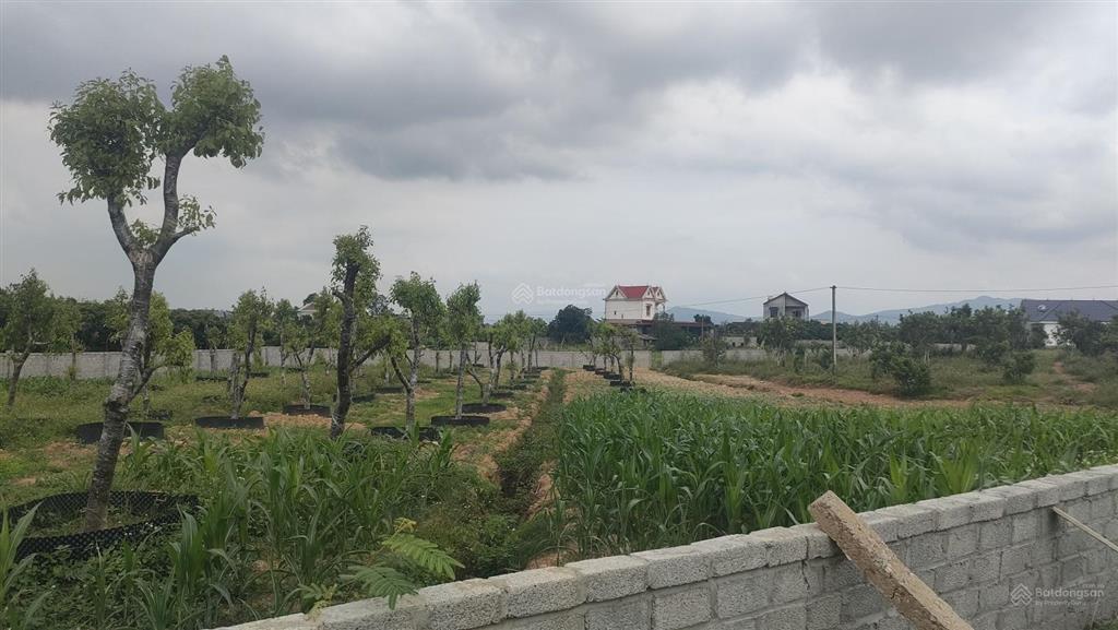 Bán đất hòa lạc 367m², 3,6 tỷ sổ đỏ chính chủ. mặt tiền 8m