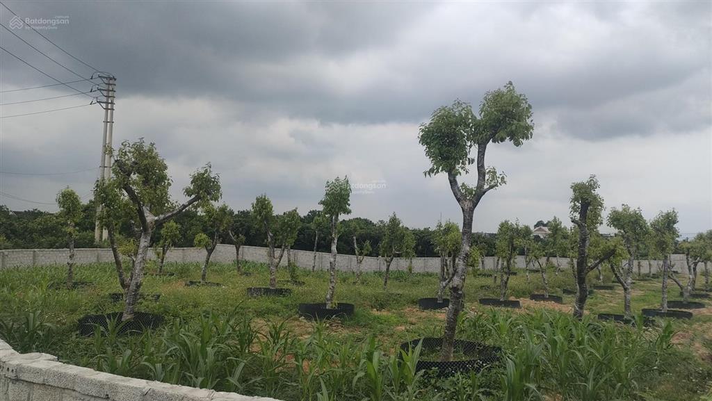 Bán đất hòa lạc 367m², 3,6 tỷ sổ đỏ chính chủ. mặt tiền 8m