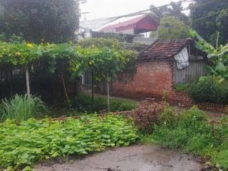 Chính chủ bán 55m² và 46m², đất nở hậu,ngõ xe tải tại Mỹ Nội, Đông Anh