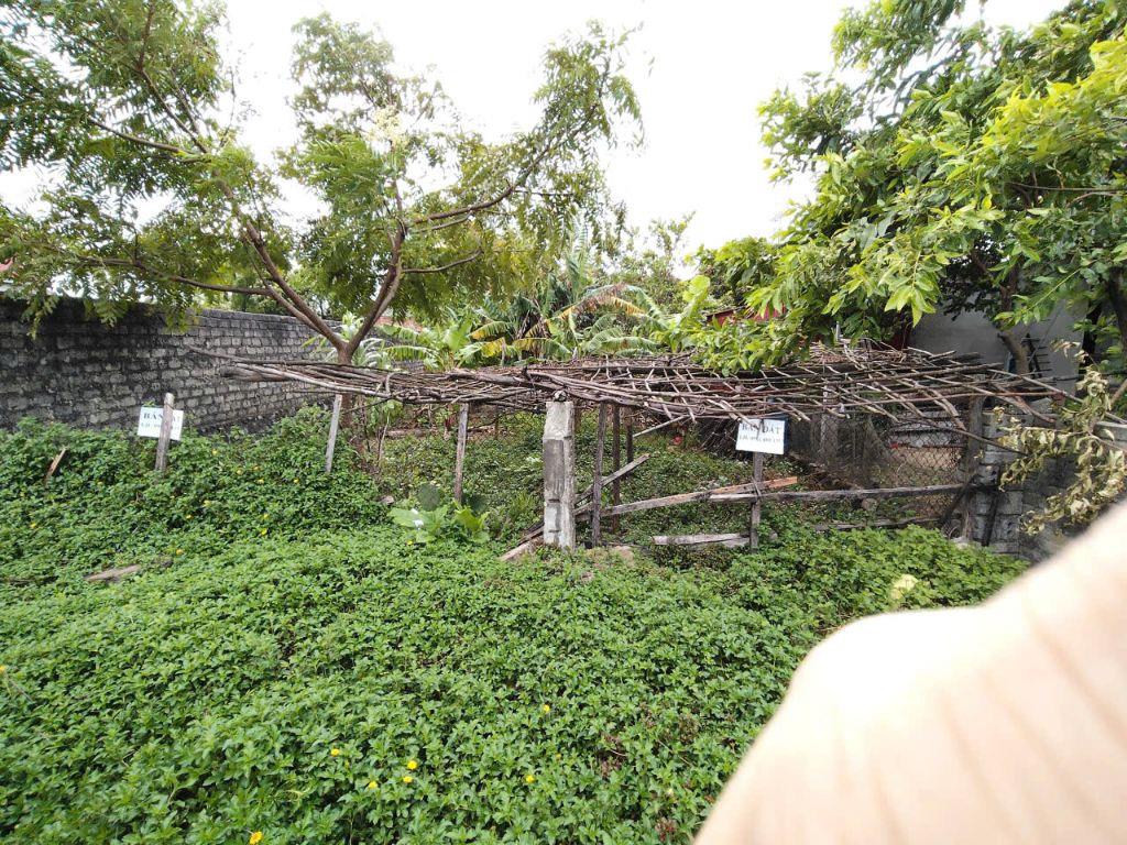 BÁN GẤP LÔ ĐẤT ĐẸP, FULL THỔ CƯ, GIÁ RẺ, TRUNG TÂM THỊ XÃ KỲ ANH-HÀ TĨNH – GIÁ TỐT ĐẦU TƯ, 0981888335