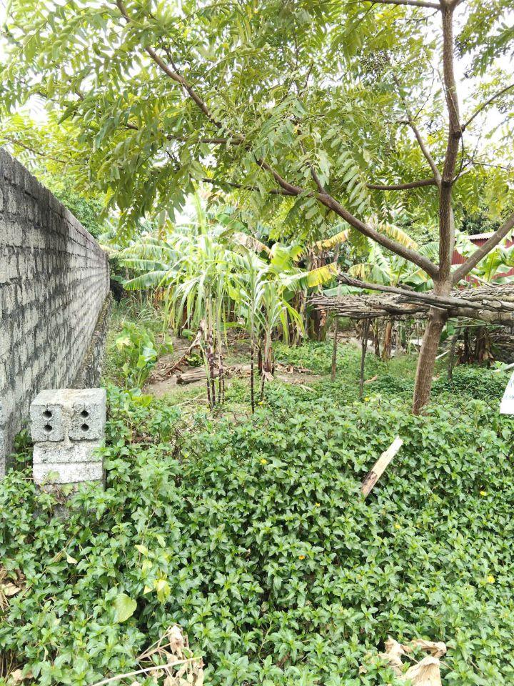 BÁN GẤP LÔ ĐẤT ĐẸP, FULL THỔ CƯ, GIÁ RẺ, TRUNG TÂM THỊ XÃ KỲ ANH-HÀ TĨNH – GIÁ TỐT ĐẦU TƯ, 0981888335