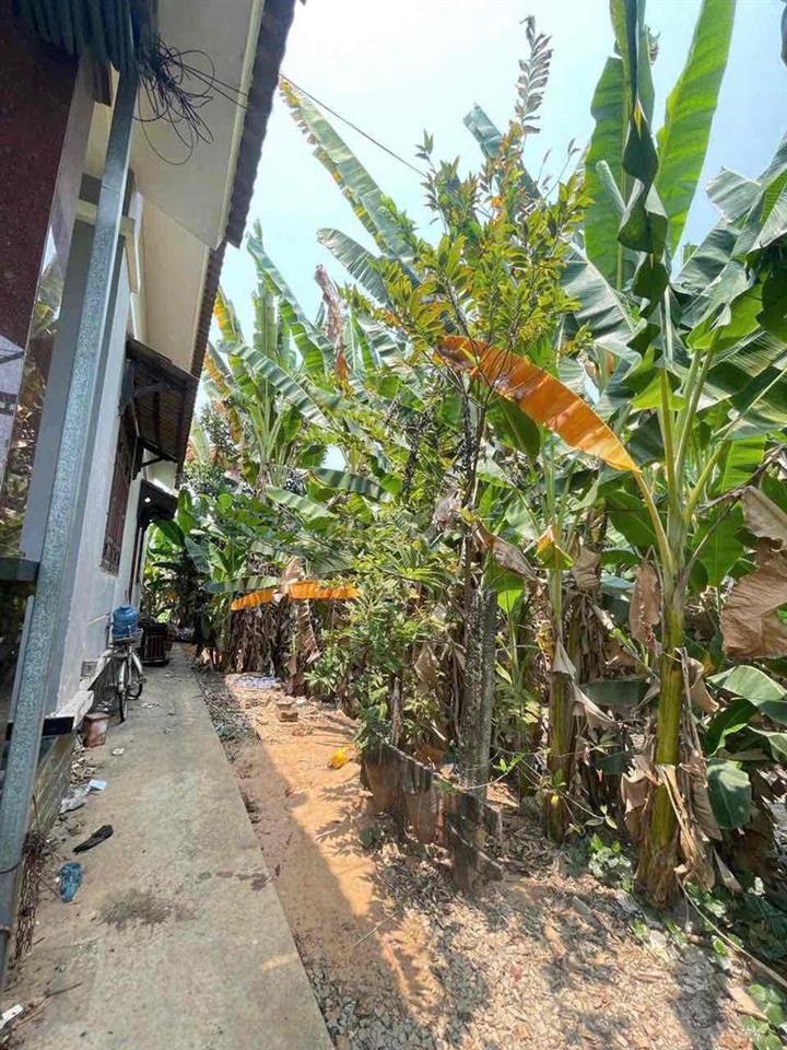 CHO THUÊ NHÀ NGUYÊN CĂN KP9, TÂN PHONG – BIÊN HÒA