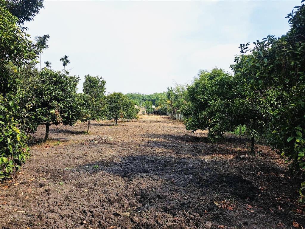 Đất đường nguyễn thị dòn xã nhuận đức huyện củ chi diện tích 3384,6m2 có 150m2 thổ cư giá 24,5tỷ