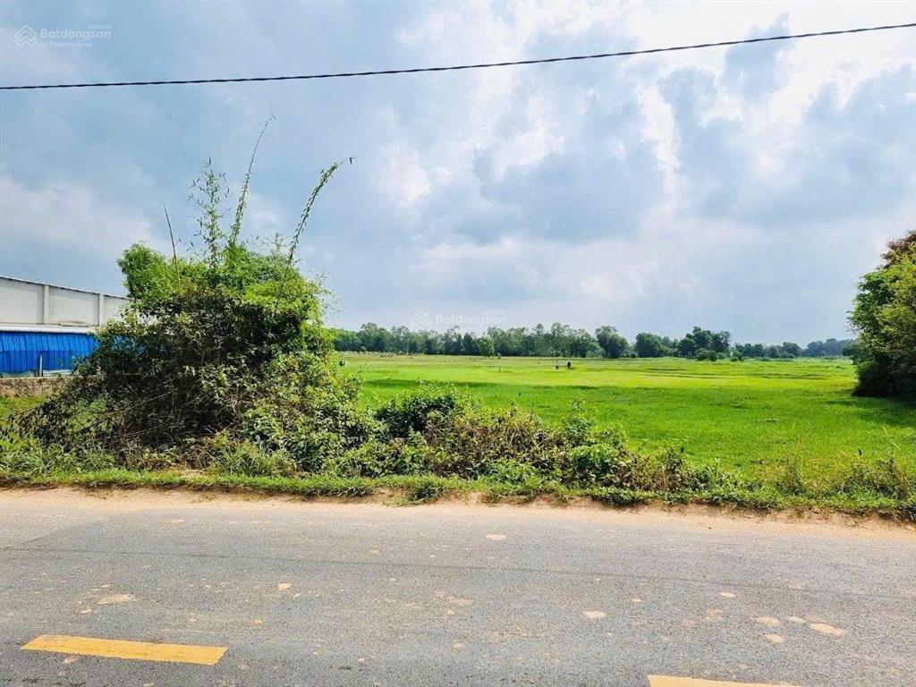 Đất mặt tiền tỉnh lộ 15 diện tích 4292,6m2 ngang 43 m giá 42tỷ