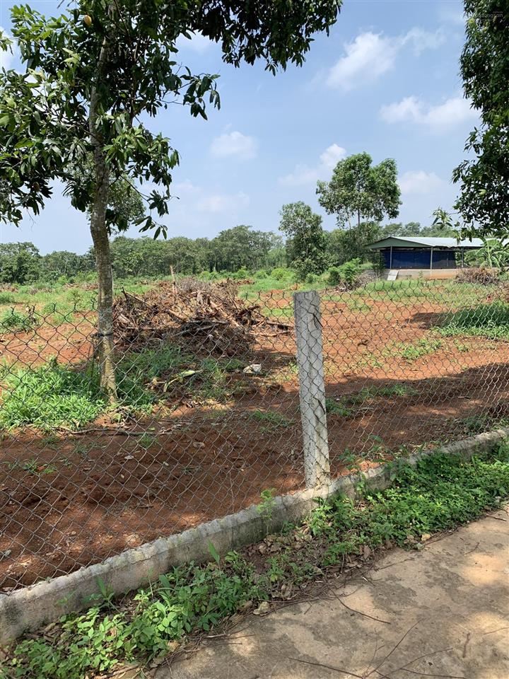 Đất chính chủ lâm san cẩm mỹ | 1.377m² có kèm 100m² thổ cư | giá 1,6 tỷ