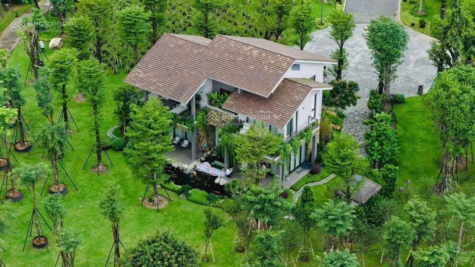 Bán dinh thự rẻ quạt có vườn to