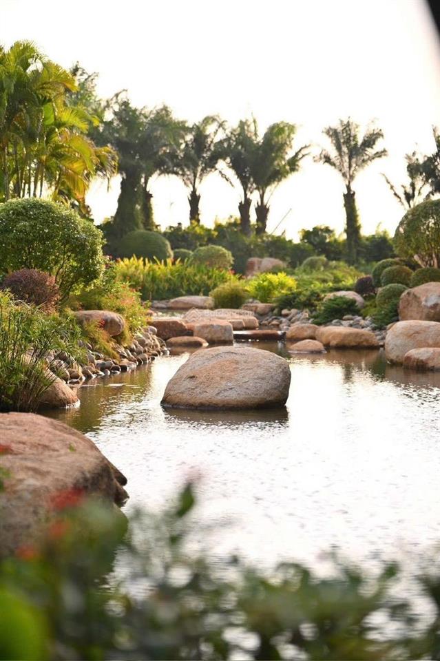 Bán dinh thự vườn có tầng hầm trải nghiệm