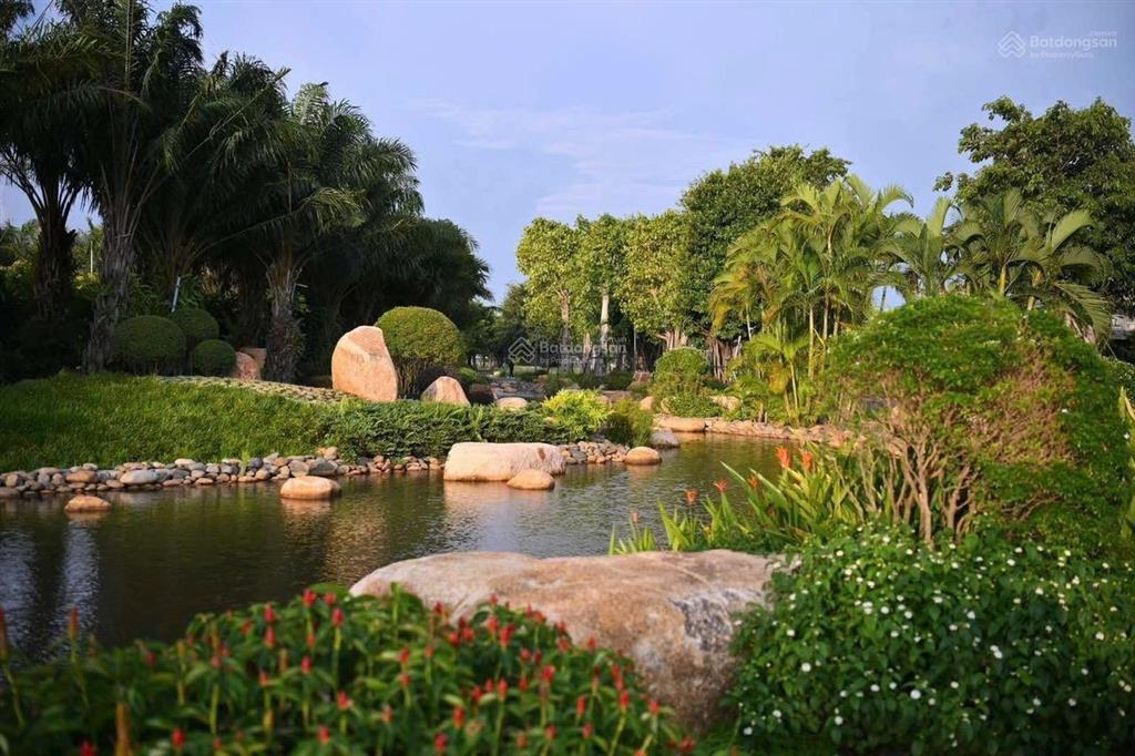 Bán dinh thự vườn có tầng hầm trải nghiệm