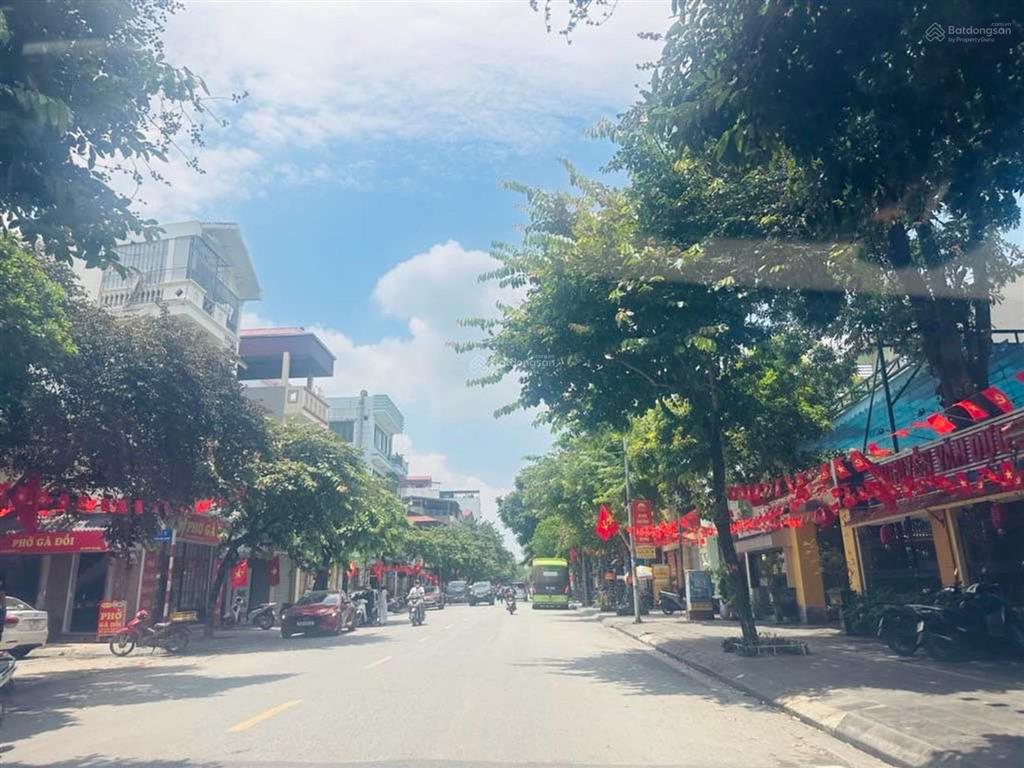 Bán đất đấu giá việt hưng, giá chỉ 220tr/m2, cả phố làm showroom ô tô, kinh doanh sầm uất, dt 320m2