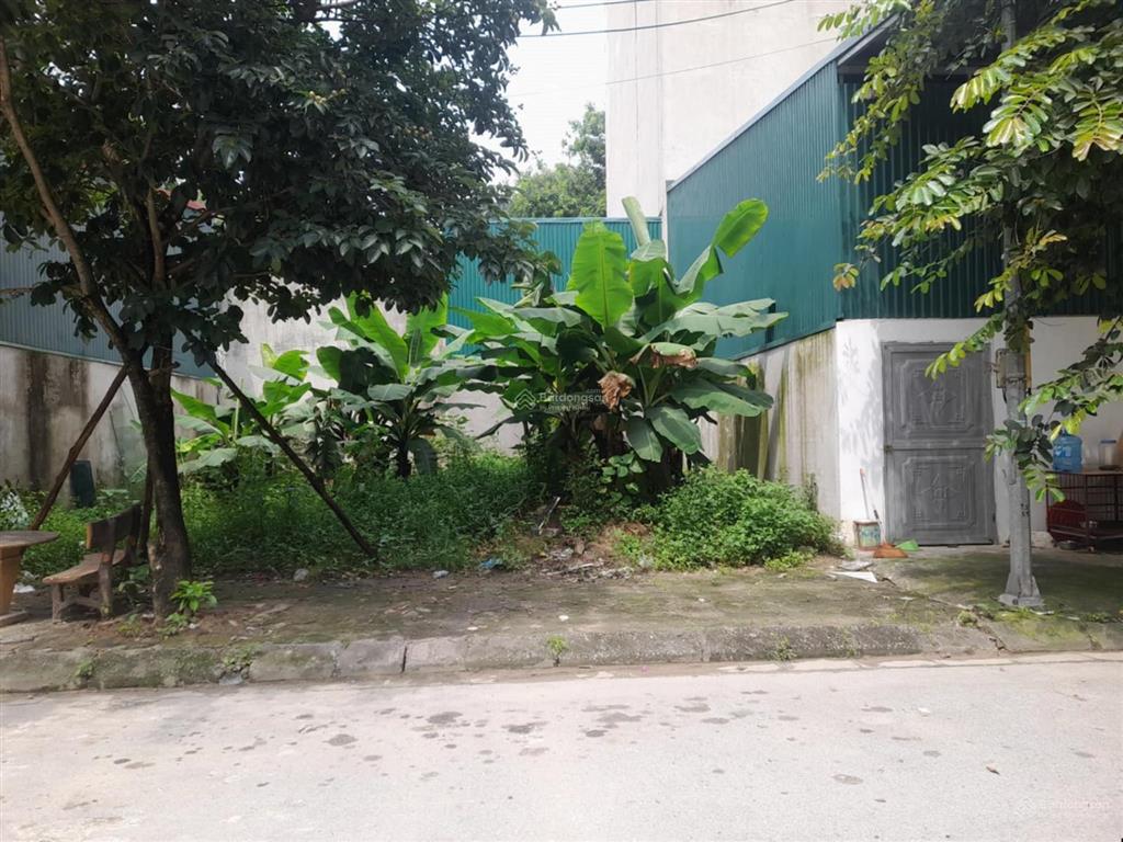 Đất đấu giá biên giang không quy hoạch 50m hơn 3 tỷ