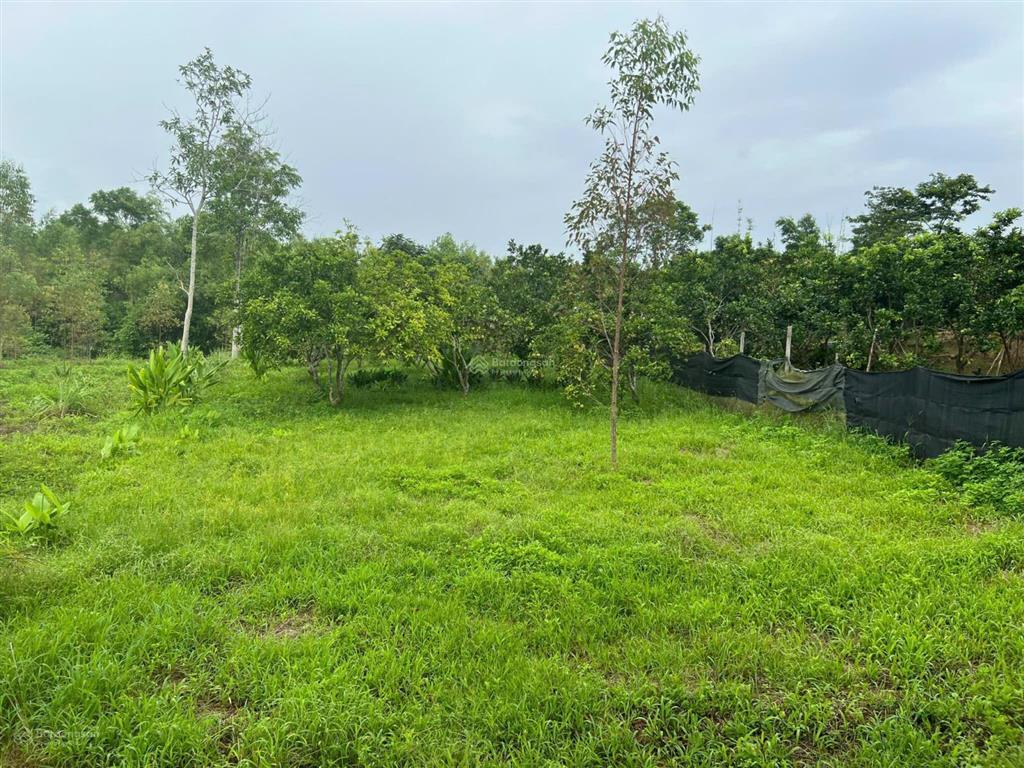 2009m² đất 3 mặt bám suối pháp lý rõ ràng chỉ 1,3 triệu/m², nghỉ dưỡng nhà vườn siêu đẹp