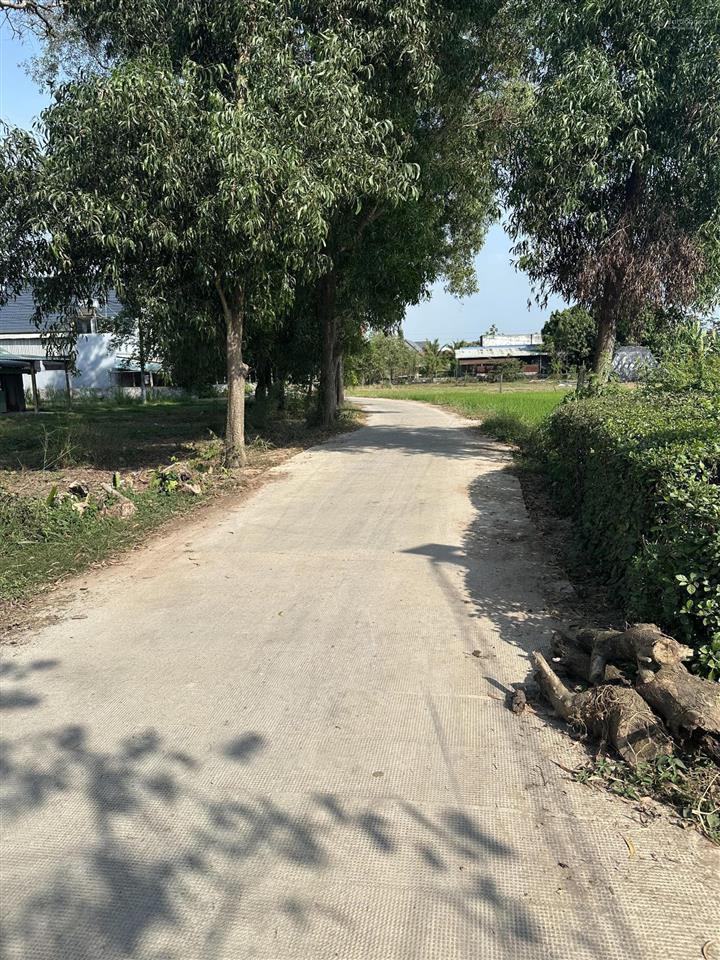Chính chủ bán đất full thổ cư bàu sen long an (đất dân)