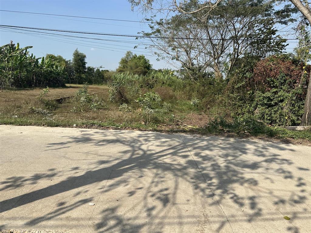 Chính chủ bán đất full thổ cư bàu sen long an (đất dân)