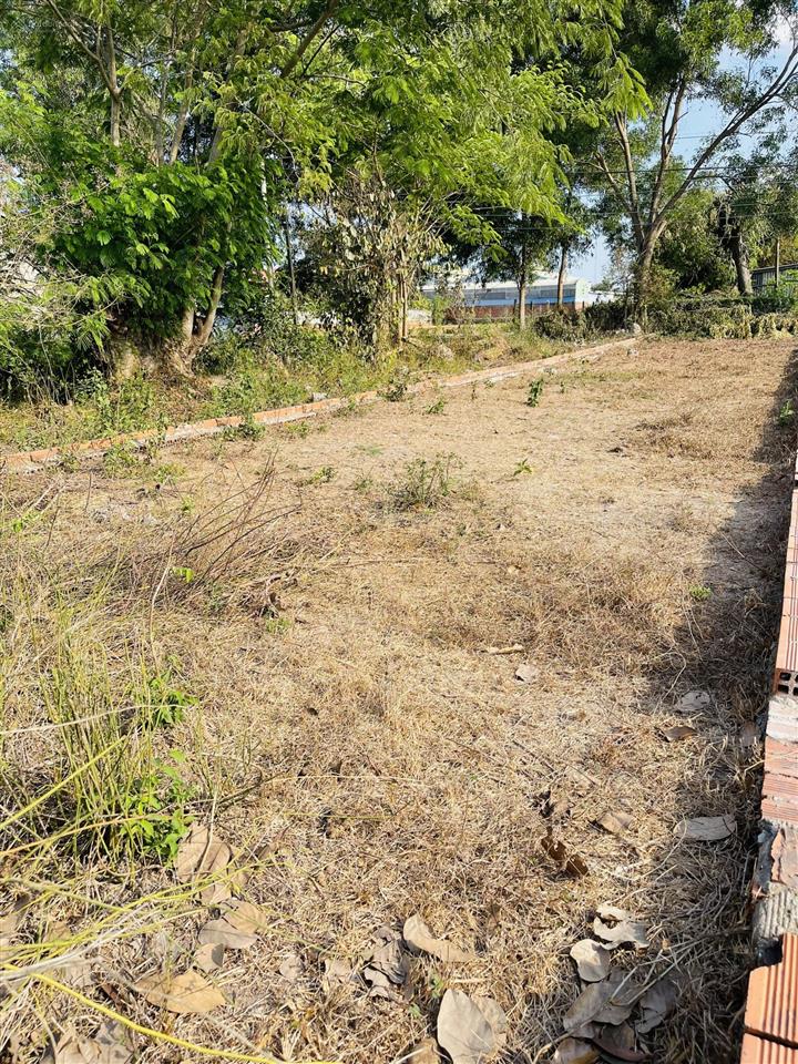 Bán đất bàu sen full thổ cư 100% đức lập (long an), 4 tỷ vnd, 379 m2 chính chủ (sổ ngoài)