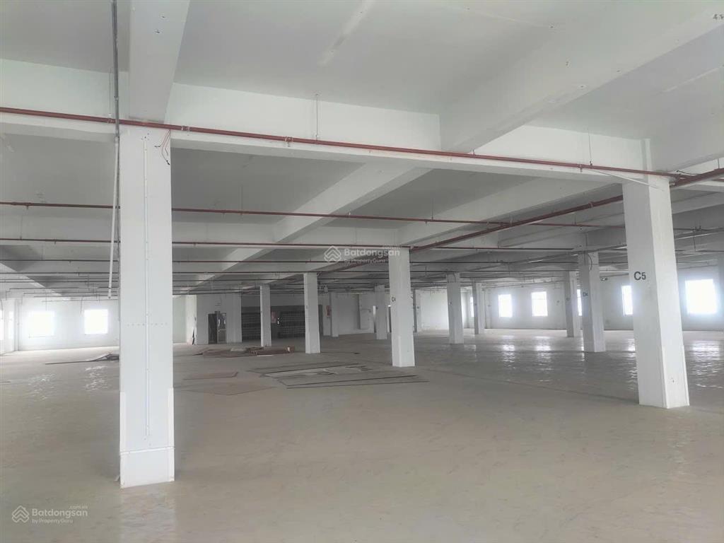 Chính chủ cho thuê tổ hợp kho, nhà xưởng 7.532m2 chất lượng cao tại quận 12, tphcm