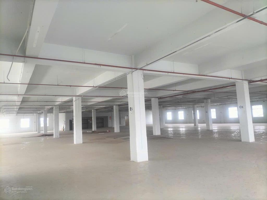 Chính chủ cho thuê tổ hợp kho, nhà xưởng 7.532m2 chất lượng cao tại quận 12, tphcm