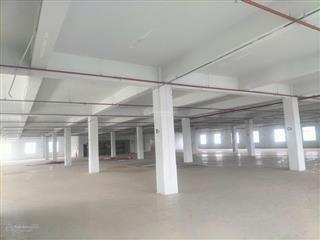 Chính chủ cho thuê tổ hợp kho, nhà xưởng 7.532m2 chất lượng cao tại quận 12, tphcm