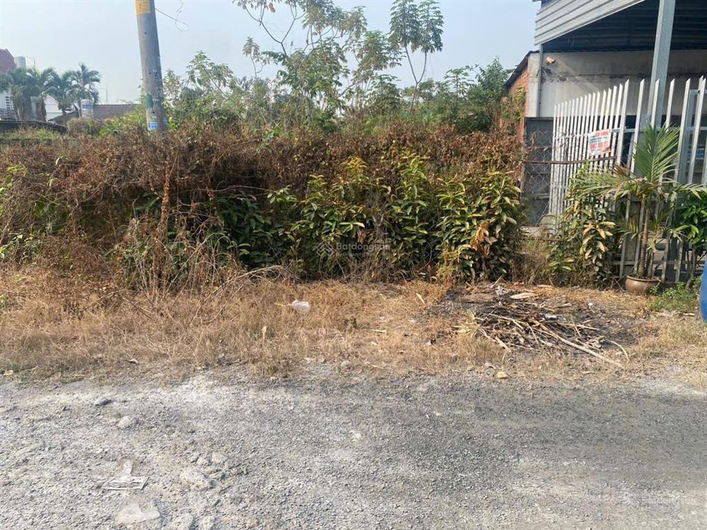 Cc bán đất, 161.7m2, sổ đỏ, giá chỉ 2,5 tỷ có thương lượng xã tân thạch đông củ chi