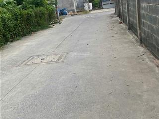 Bán đất tân thới nhì, hóc môn, 1,7 tỷ, 52,9m2, hạ gấp 2tỷ3 còn 1tỷ7