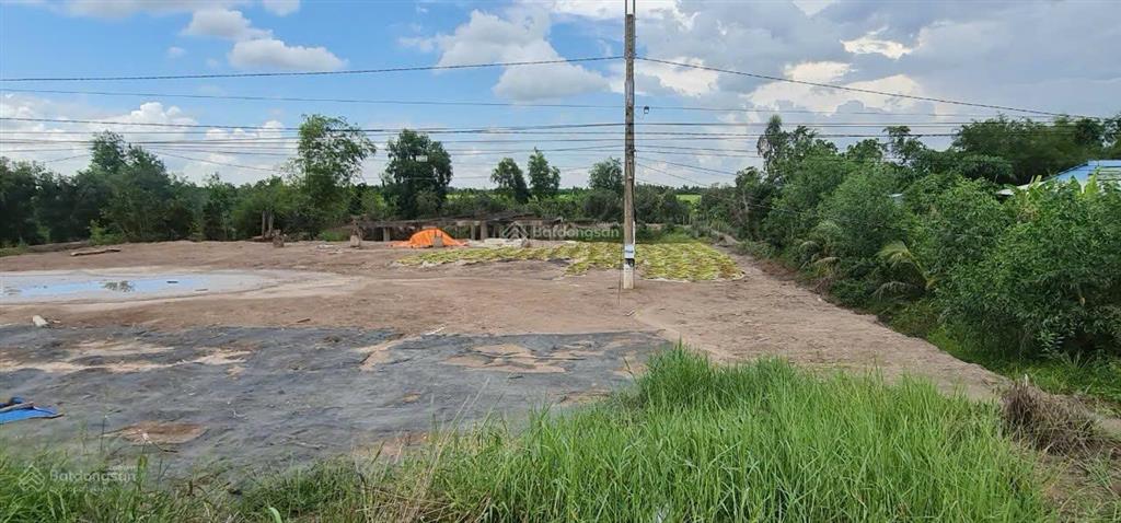 Ngộp thở! bán gấp 3.1ha đất skc mặt tiền đt 819 thạnh hưng long an giá chưa bằng tiền đóng thuế