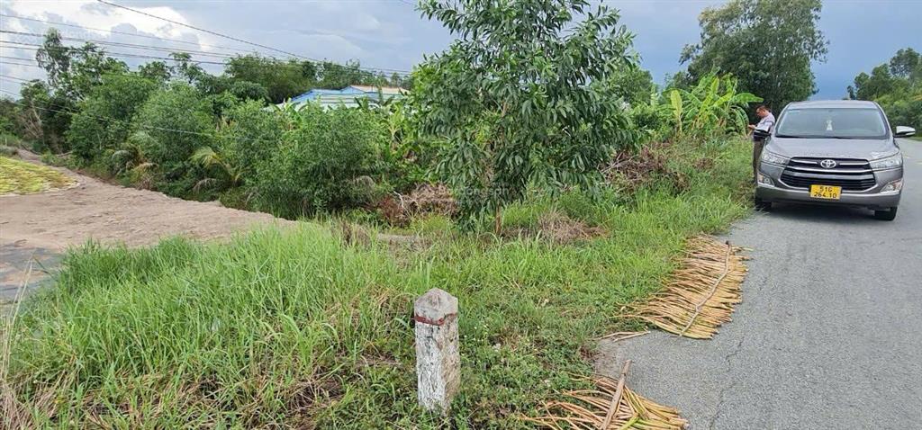 Ngộp thở! bán gấp 3.1ha đất skc mặt tiền đt 819 thạnh hưng long an giá chưa bằng tiền đóng thuế