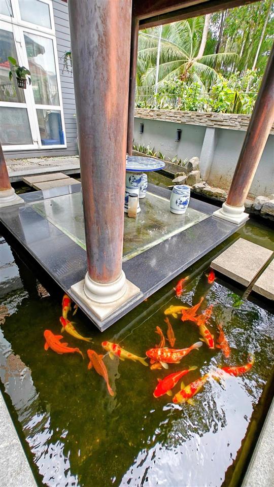 Ngang 6m  hxh hai bà trưng, quận 3, 6m x 14m, 4 tầng mới đẹp, chỉ 13,5 tỷ thương lượng