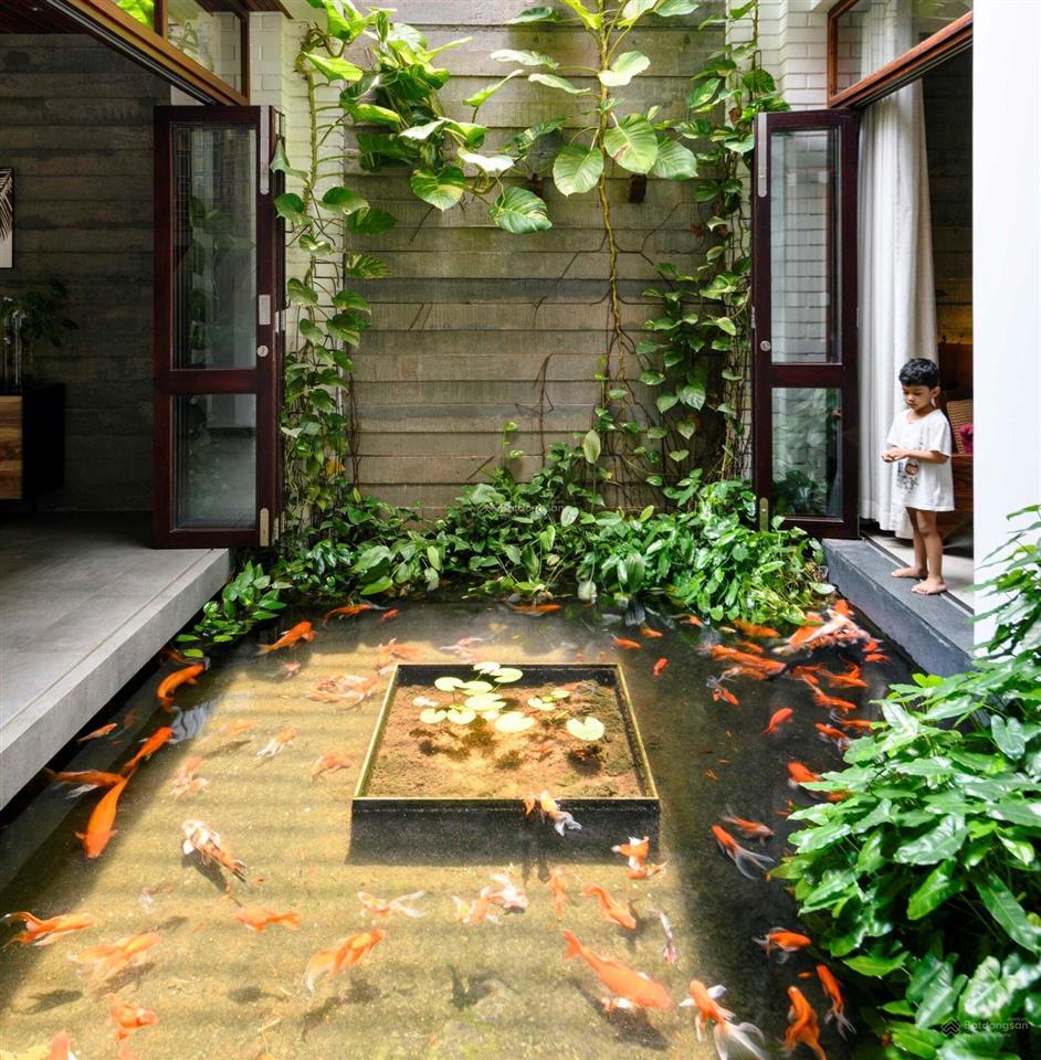 Hẻm to 10m  nhà sẵn thang máy trần quý khoách, q1, 45m2, 4 tầng mới đẹp, chỉ 17 tỷ thương lượng