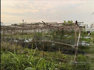 Bán đất đường trần thị bốc, thới tam thôn, hóc môn. ngang 48m dài 19m. 900m2. 5,4 tỷ