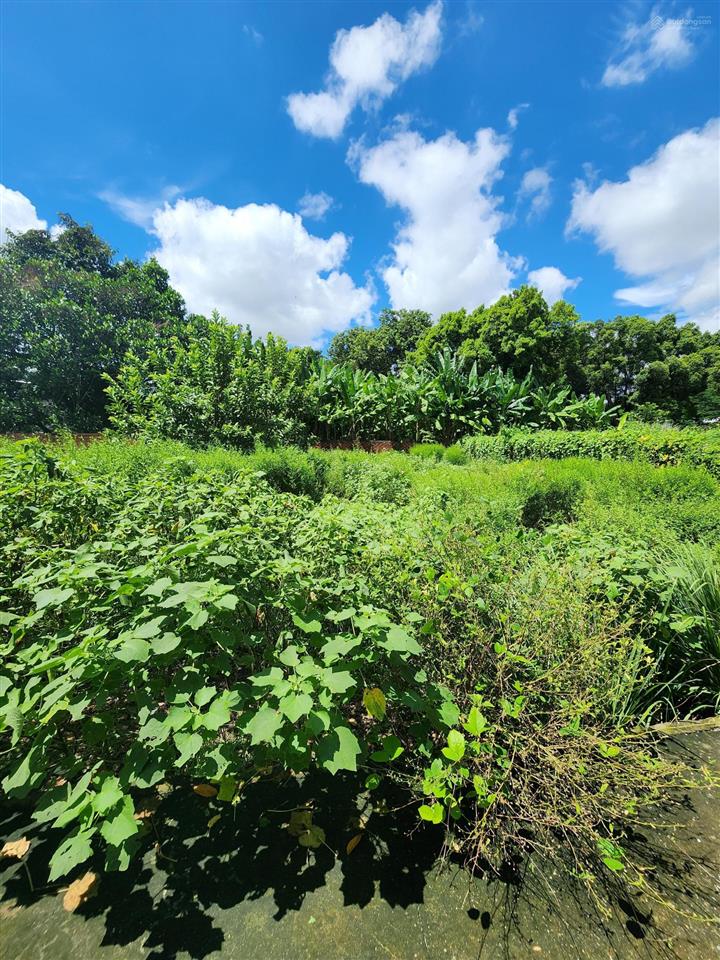 Bán đất hẻm 1/ song hành, 189m2, giá chỉ 2,7 tỷ