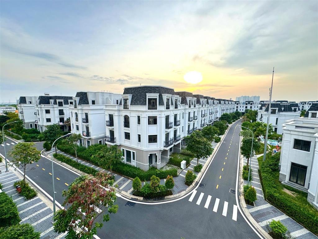 Ra nhanh hàng hiếm tại amelie villa phú mỹ hưng, 282m2