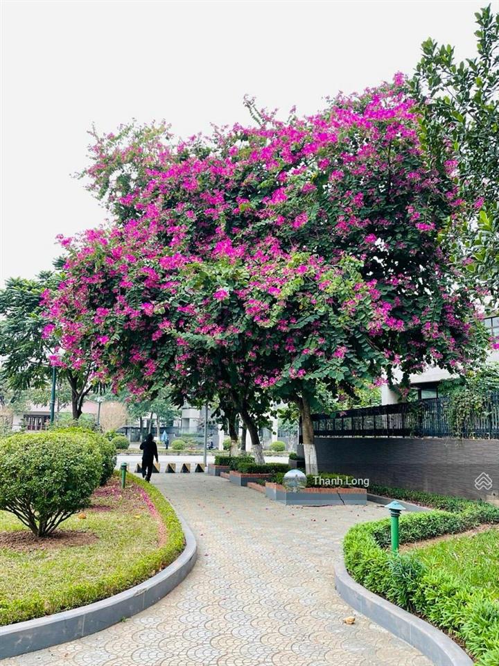 Chính chủ bán bt an hưng, dt 264m2, hướng mát sát hồ điều hòa, an sinh tốt. giá đầu tư 0979 264 ***