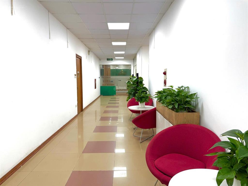 Cho thuê văn phòng trương công giai gần khúc thừa dụ 10 triệu/th