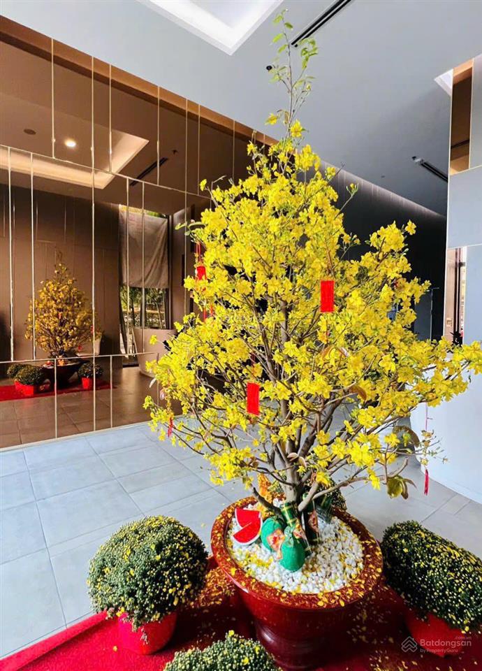 Cho thuê căn hộ officel central premium đường tạ quang bửu, p5, q8.