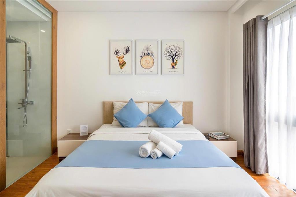 Căn hộ quận 1 ngay trần đình xu có cửa sổ  full nt gần cầu ông lãnh, bùi viện