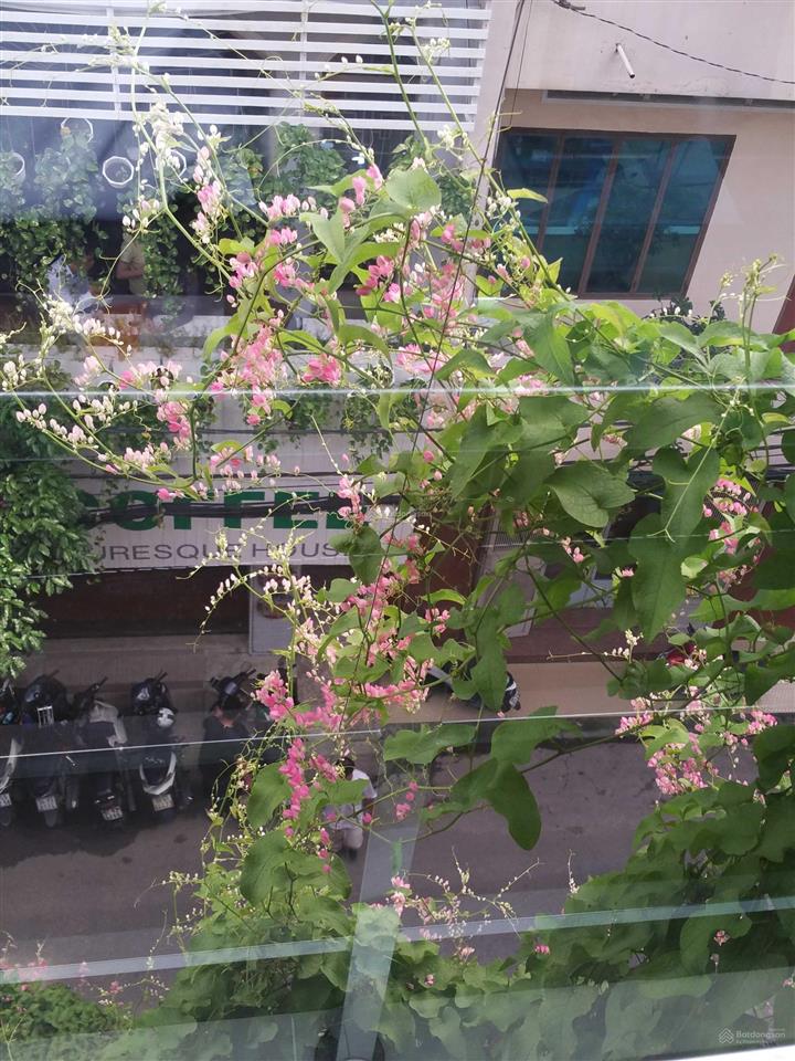Văn phòng cho thuê đường cộng hoà  tầng 1  60m2