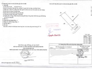 Thửa đất số 204, tờ bản đồ số 53 tại thôn bù xia, xã đăk ơ, h.bù gia mập, tỉnh bình phước