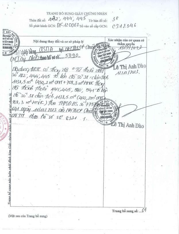 Bán qsdđ tại thửa 391 (nay là các thửa 444, 445, 540, 541), tbđ 38, x.dương minh châu, t.tây ninh