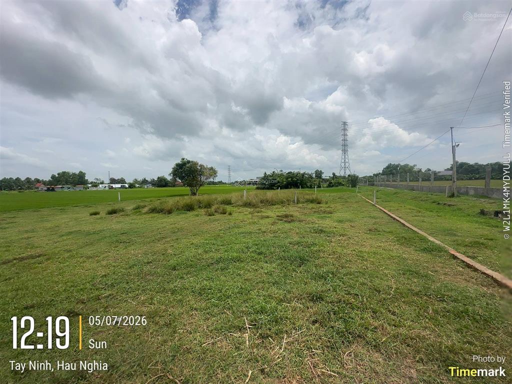 Bán 04 thửa đất trống 800 m2 (100% đất ở đô thị) tại tt hậu nghĩa, huyện đức hoà, long an (cũ)